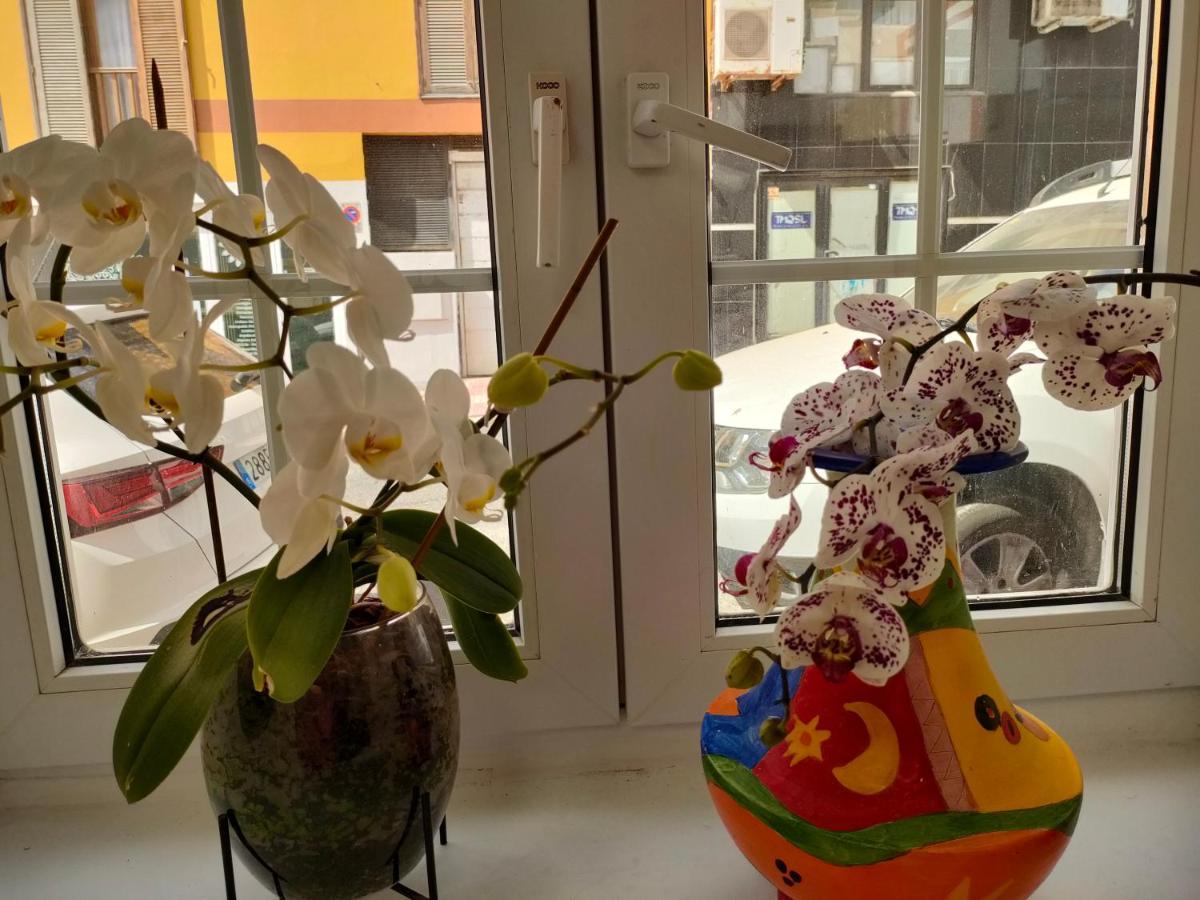 Casa Alba 1 Apartment ปูแอร์โต เดล โรซาริโอ ภายนอก รูปภาพ