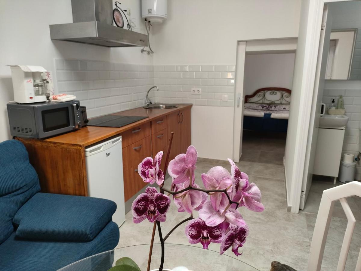 Casa Alba 1 Apartment ปูแอร์โต เดล โรซาริโอ ภายนอก รูปภาพ